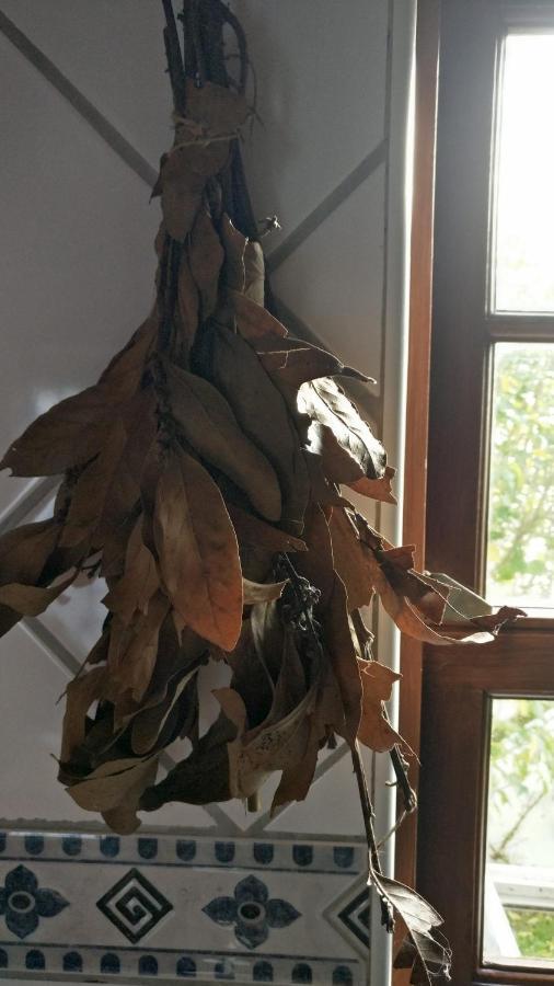 Casa Idilica Apartment Horta  Luaran gambar